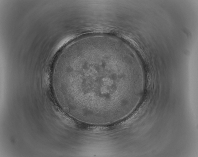 X0000112771163200908271635