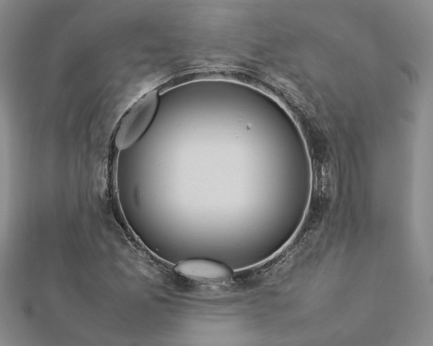 X0000112771165200908271635