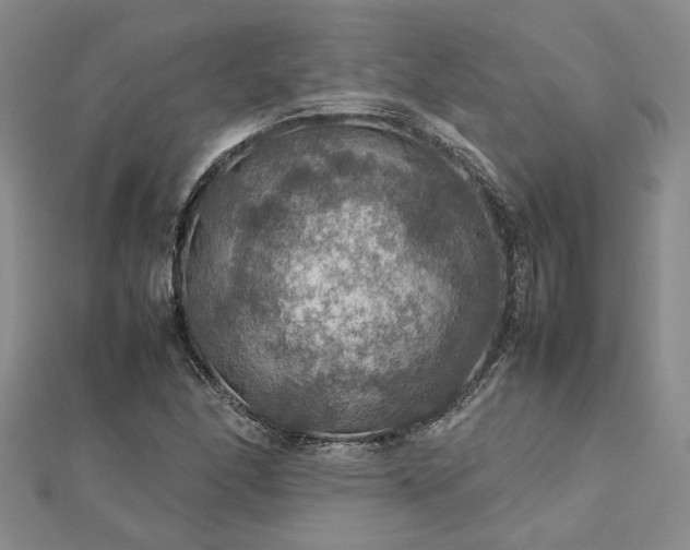X0000112771166200908271635