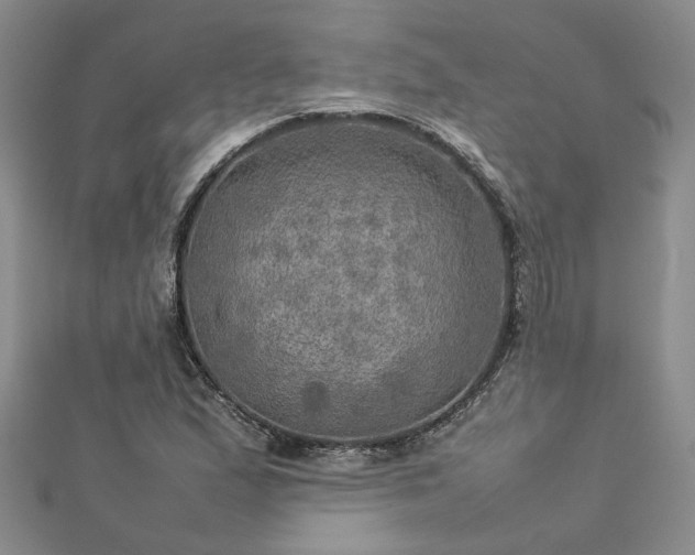 X0000112771167200908271635