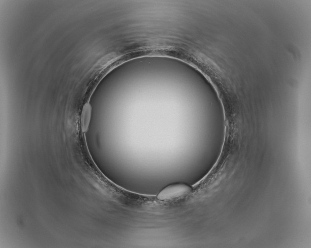 X0000112771169200908271635