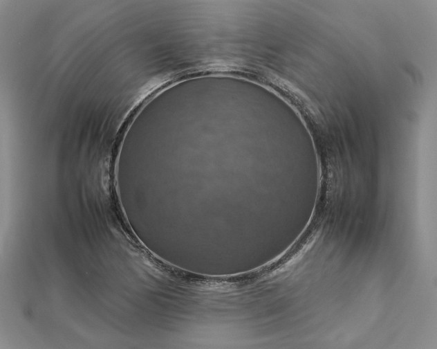 X0000112771170200908271635