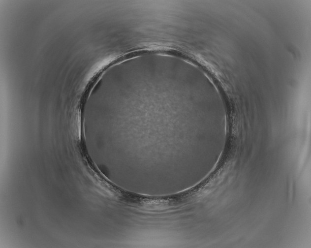 X0000112771171200908271635