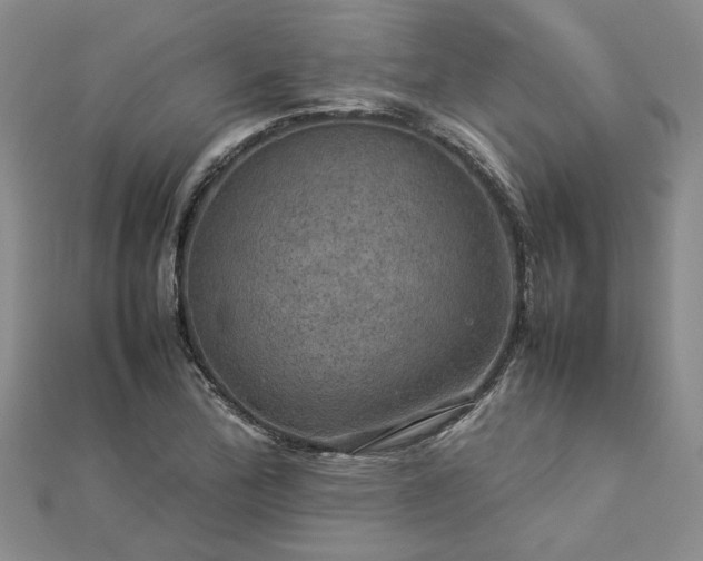 X0000112771172200908271635