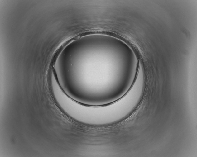 X0000112771173200908271635