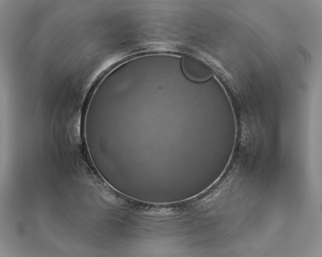 X0000112771174200908271635
