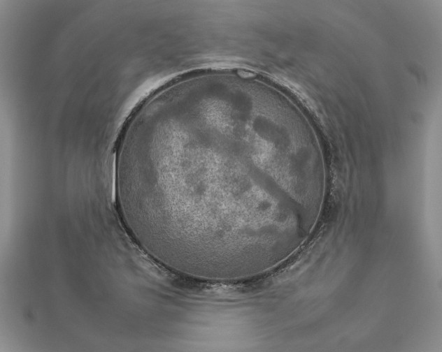 X0000112771175200908271635