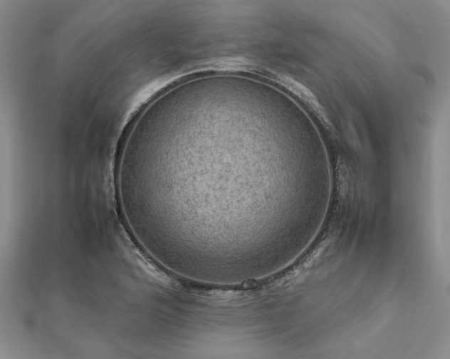 X0000112771176200908271635