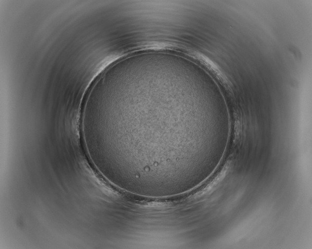 X0000112771178200908271635