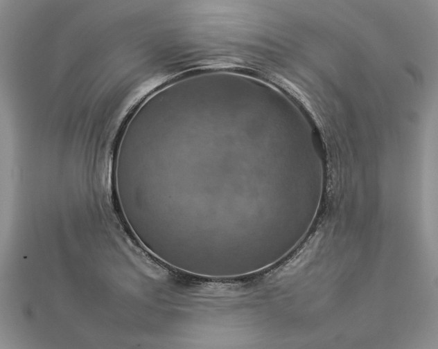 X0000112771179200908271635