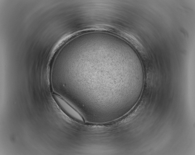 X0000112771180200908271634