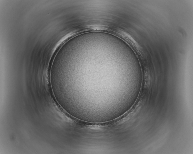 X0000112771182200908271634