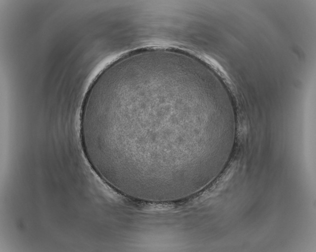 X0000112771183200908271634