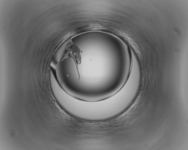 X0000112771185200908271634