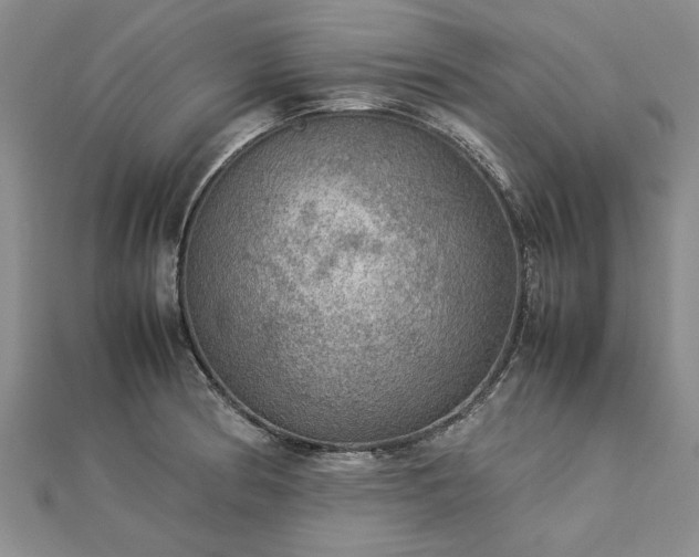 X0000112771186200908271634