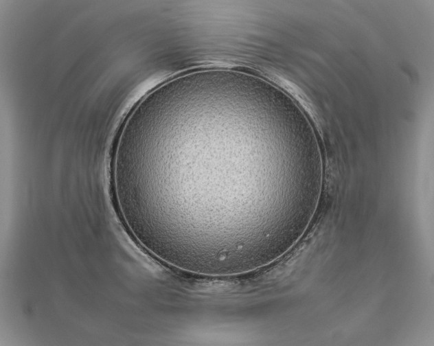 X0000112771187200908271634