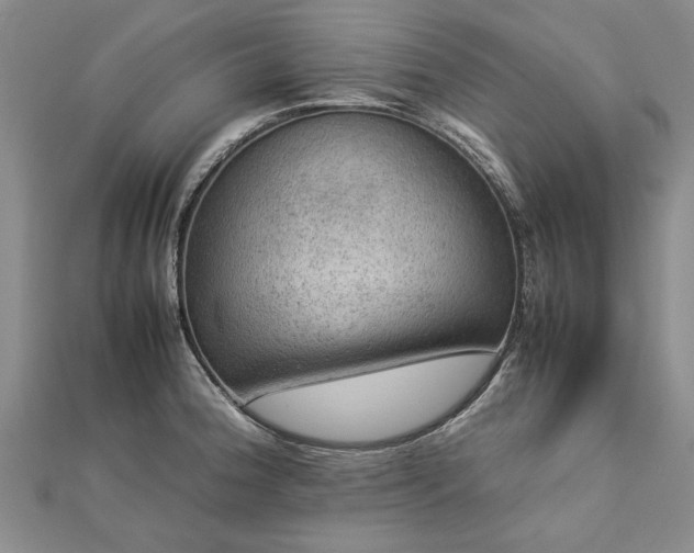X0000112771188200908271634