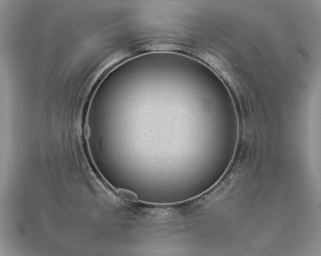 X0000112771189200908271634