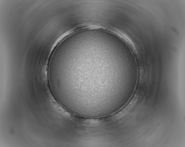 X0000112771190200908271634