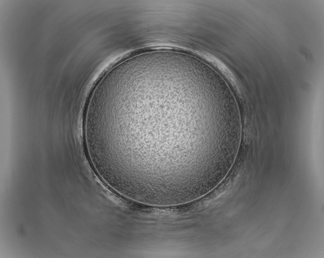 X0000112771191200908271634