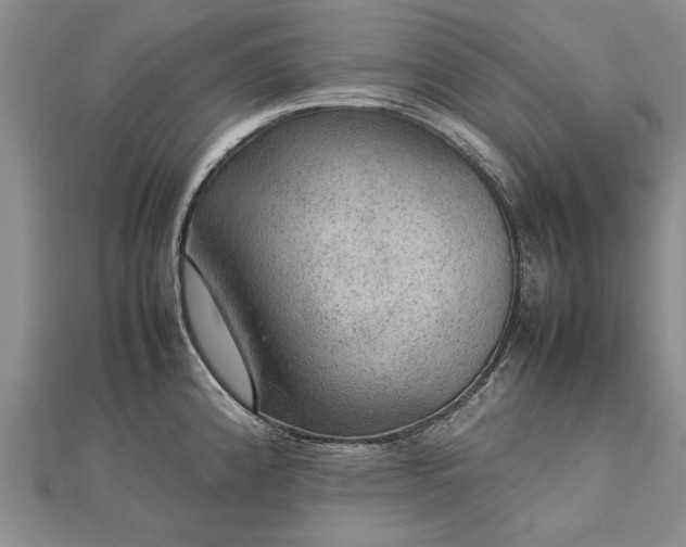 X0000112771192200908271634