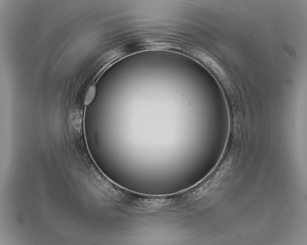X0000112771193200908271634