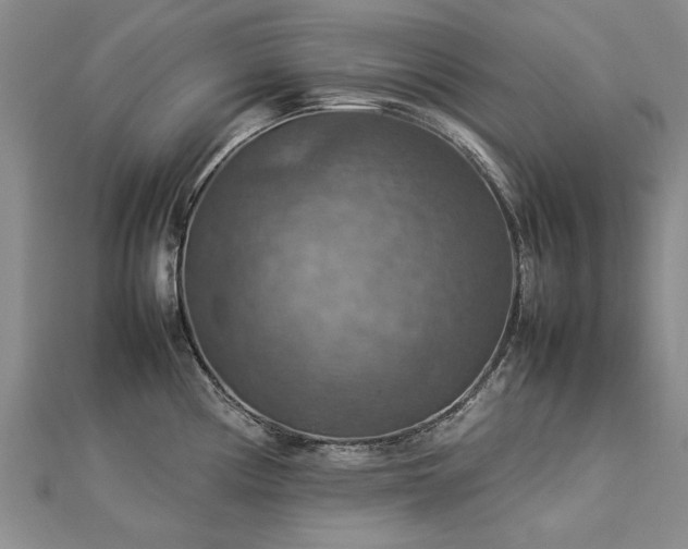 X0000112771194200908271634