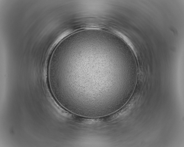X0000112771195200908271634