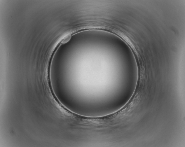 X0000112771197200908271634