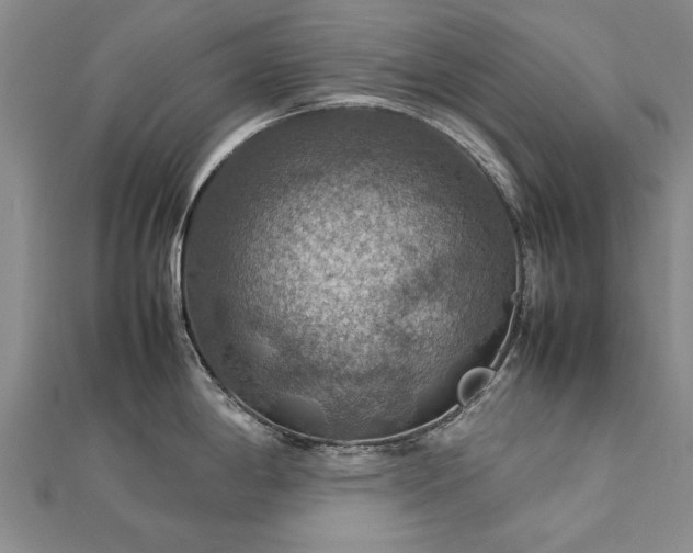 X0000112771198200908271634