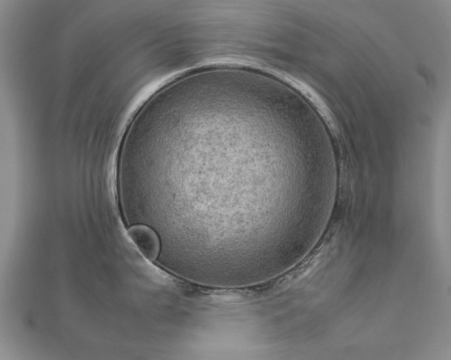 X0000112771199200908271634