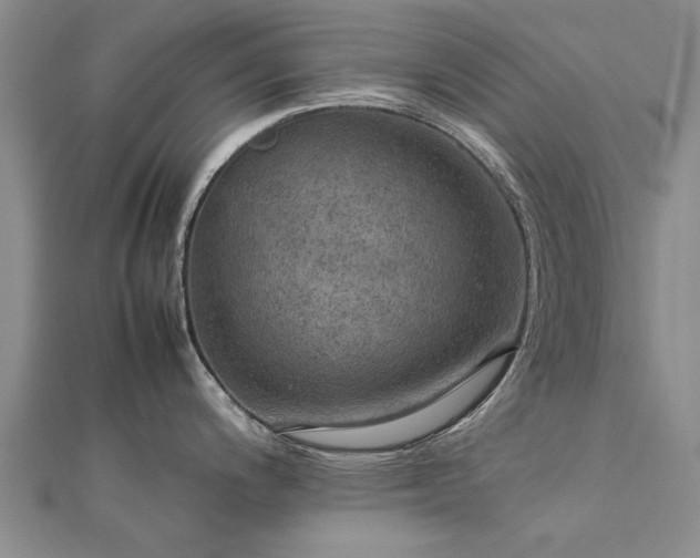 X0000112771200200908271634