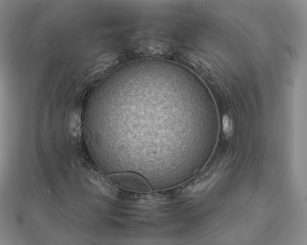 X0000112771203200908271634