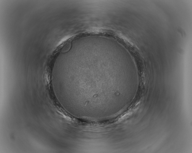 X0000112771206200908271634