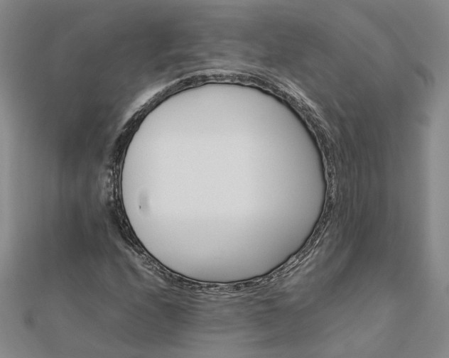 X0000112771208200908271634