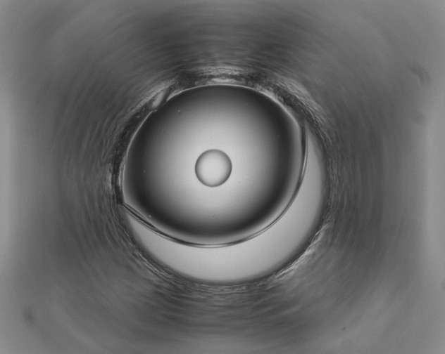 X0000112771209200908271634