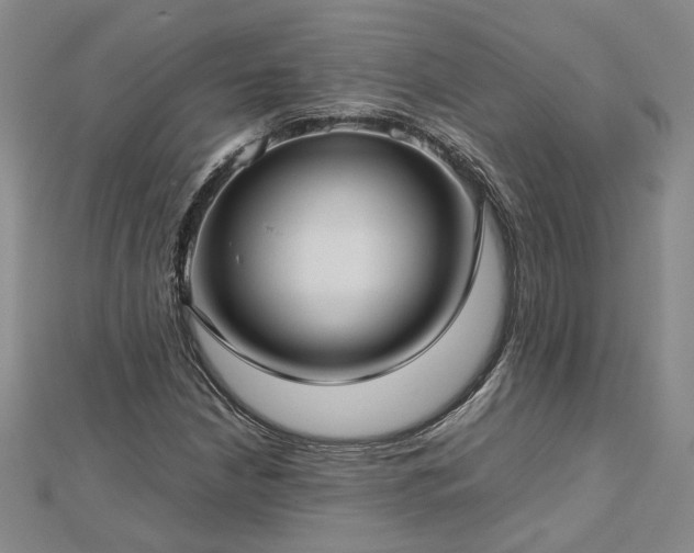 X0000112771210200908271634