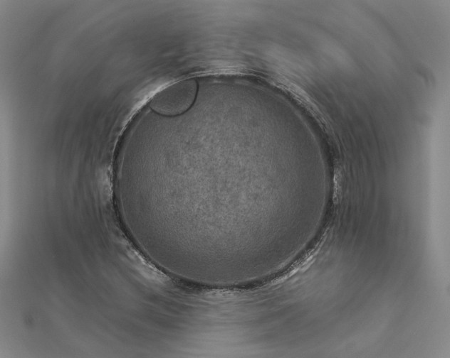 X0000112771212200908271634