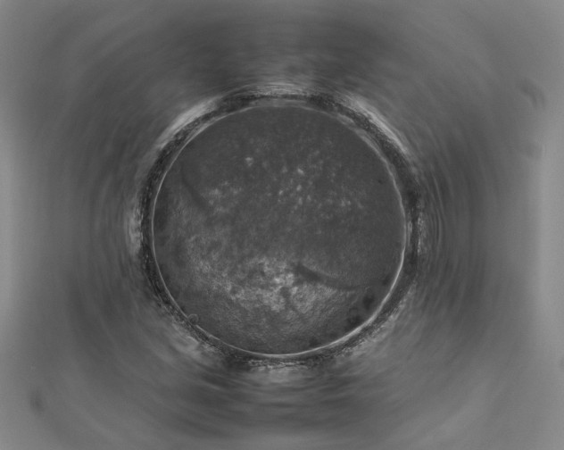 X0000112771213200908271634