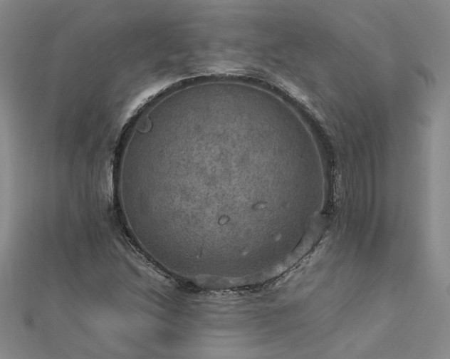 X0000112771214200908271634