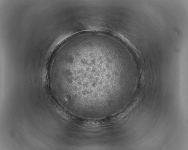 X0000112771215200908271634