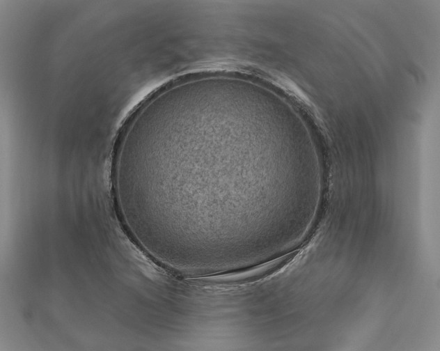 X0000112771216200908271634