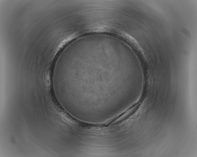 X0000112771218200908271634