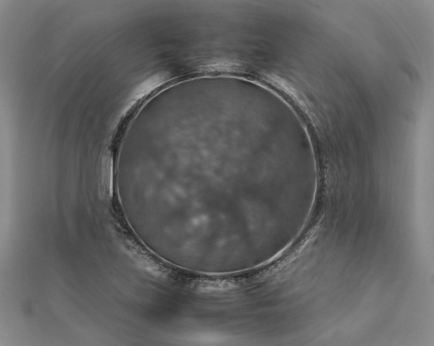X0000112771219200908271634