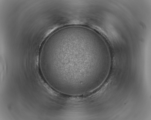 X0000112771220200908271634