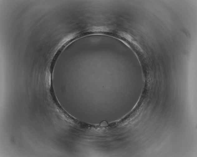 X0000112771221200908271634