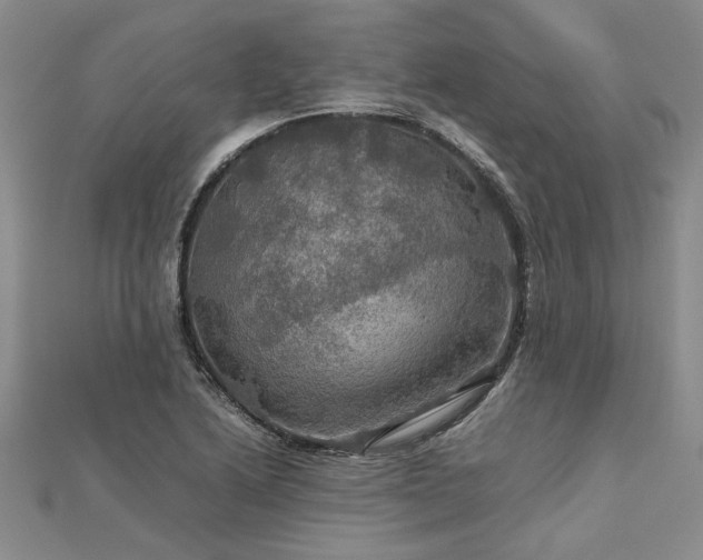 X0000112771222200908271634