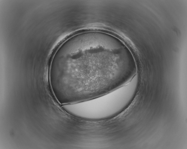 X0000112771224200908271634