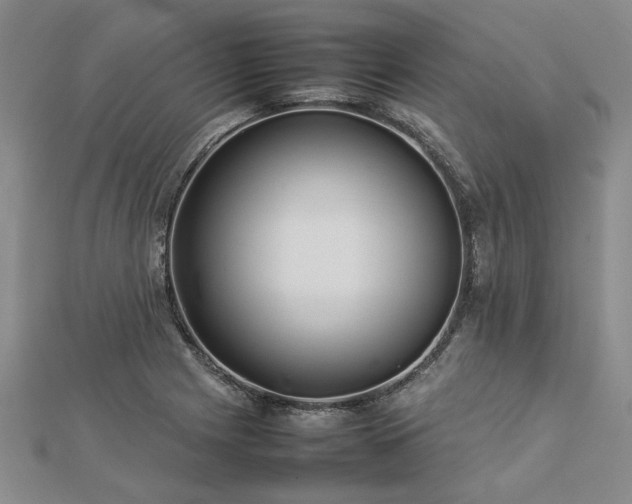 X0000112771225200908271634