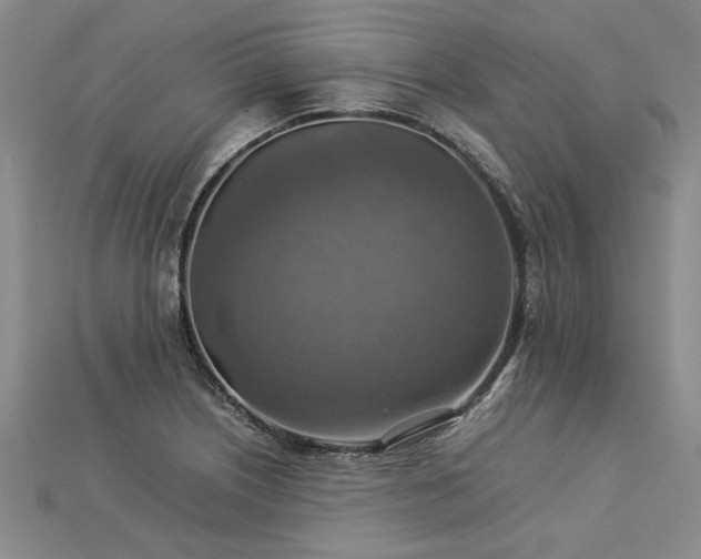 X0000112771226200908271634